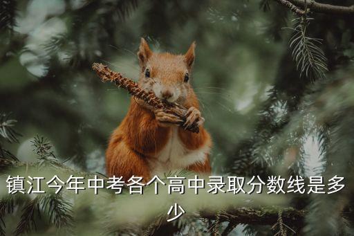 镇江今年中考各个高中录取分数线是多少