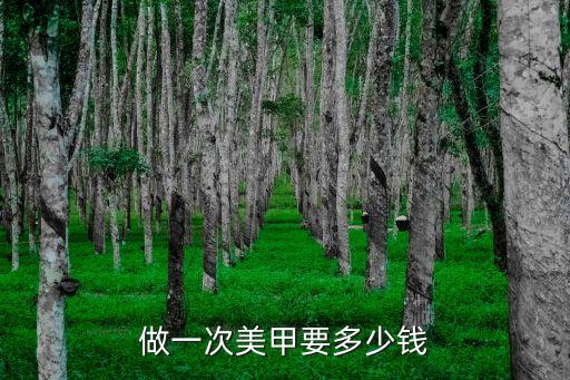 做一次美甲要多少钱
