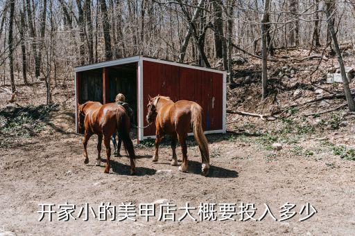 开家小的美甲店大概要投入多少
