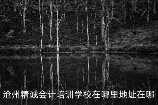 沧州精诚会计培训学校在哪里地址在哪