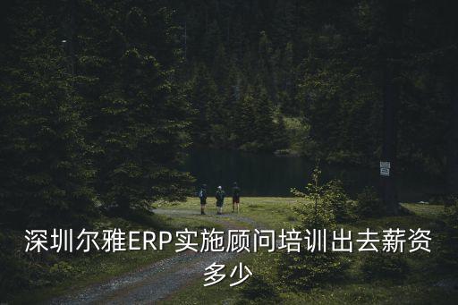 深圳尔雅ERP实施顾问培训出去薪资多少