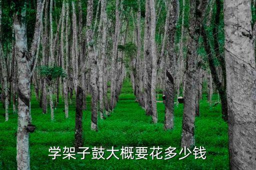 学架子鼓大概要花多少钱