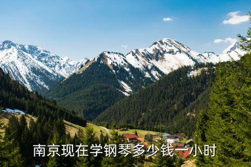 南京现在学钢琴多少钱一小时