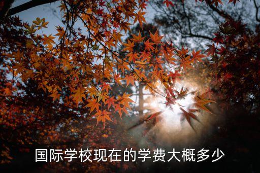 国际学校现在的学费大概多少