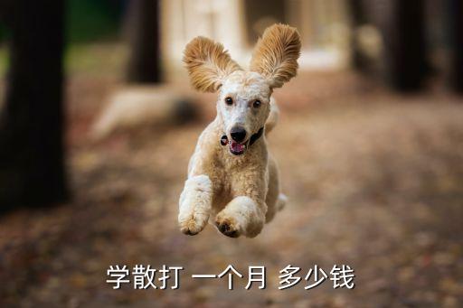 学散打 一个月 多少钱