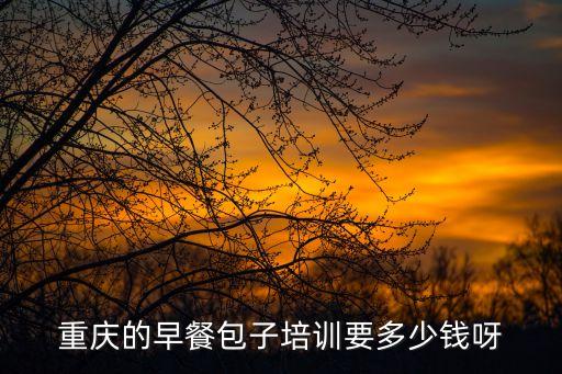 重庆的早餐包子培训要多少钱呀