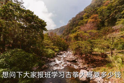 成都古筝培训多少钱，想问下大家报班学习古筝大概要多少钱