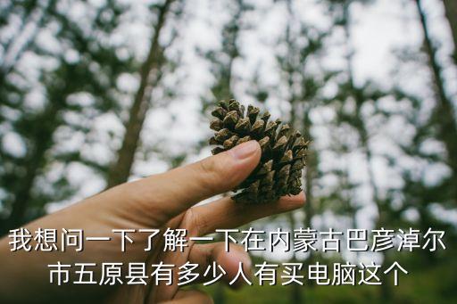 我想问一下了解一下在内蒙古巴彦淖尔市五原县有多少人有买电脑这个