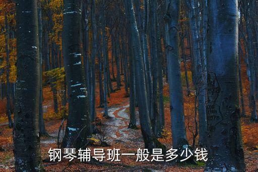 钢琴辅导班一般是多少钱