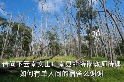 文山特岗教师工资多少钱，2014云南省文山州麻栗坡的特岗小学教师工资状况
