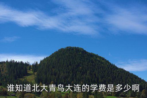 谁知道北大青鸟大连的学费是多少啊