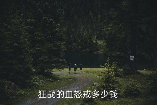 狂战的血怒戒多少钱
