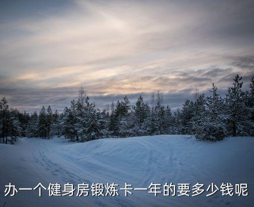 北京健身卡一年多少钱，办一个健身房锻炼卡一年的要多少钱呢