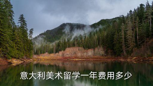 意大利美术留学一年费用多少
