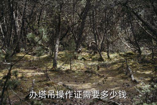 办塔吊操作证需要多少钱