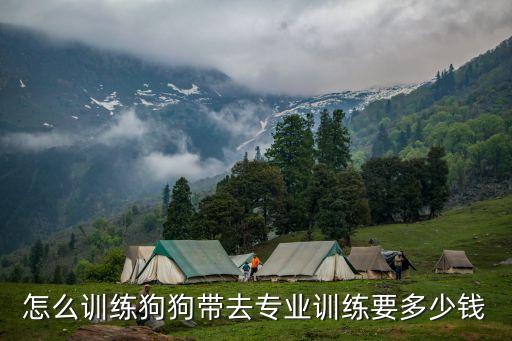 训犬师多少钱，怎么训练狗狗带去专业训练要多少钱