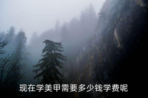 现在学美甲需要多少钱学费呢