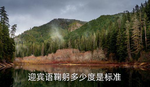 面试鞠躬多少度，迎宾语鞠躬多少度是标准