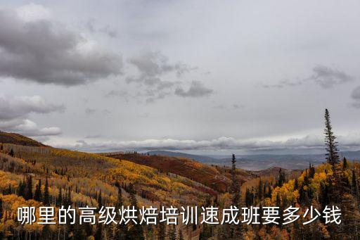 学高级烘培需要多少钱，哪里的高级烘焙培训速成班要多少钱