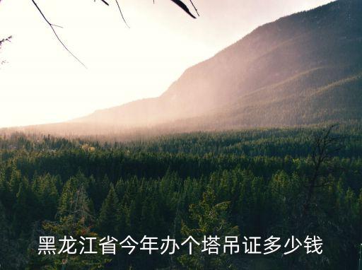 黑龙江省今年办个塔吊证多少钱