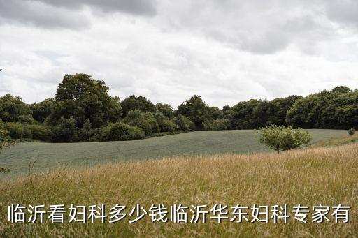 临沂看妇科多少钱临沂华东妇科专家有