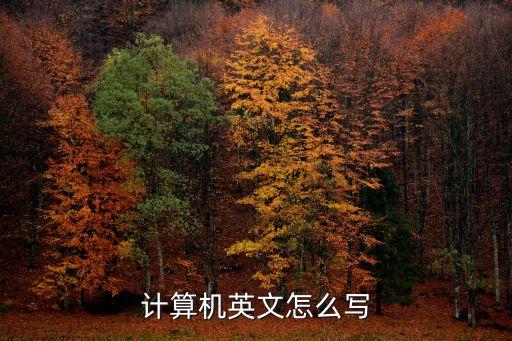 计算机英文怎么写