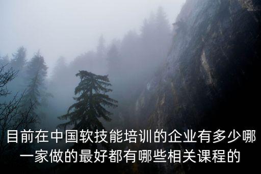 目前在中国软技能培训的企业有多少哪一家做的最好都有哪些相关课程的