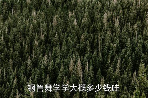 钢管舞学学大概多少钱哇