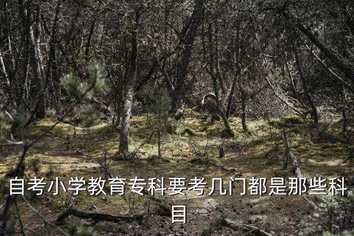 自考小学教育专科要考几门都是那些科目