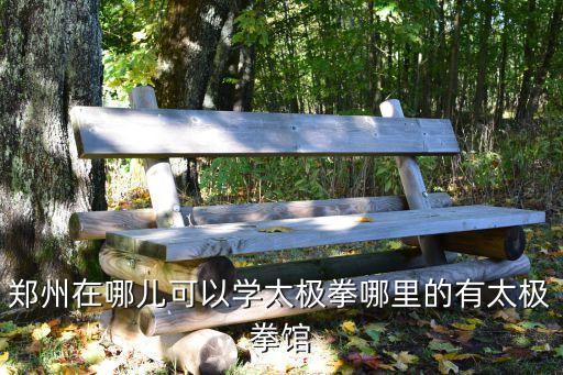 郑州有多少陈氏太极拳馆，郑州在哪儿可以学太极拳哪里的有太极拳馆