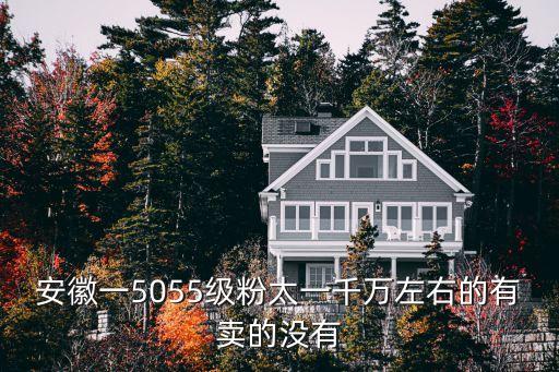 安徽小吃粉鸡汤多少钱一分份，安徽一5055级粉太一千万左右的有卖的没有
