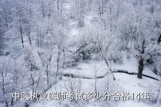 中医执业医师考试多少分合格14年