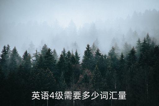 英语4级要多少词汇量，英语四级需要多少词汇量