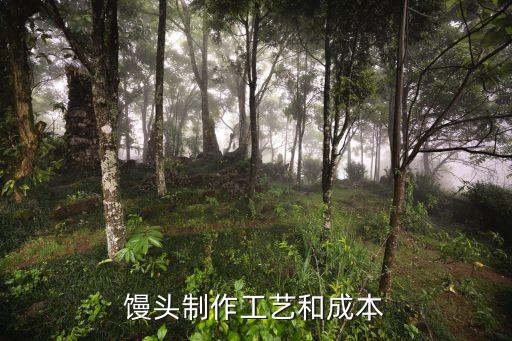 馒头制作工艺和成本