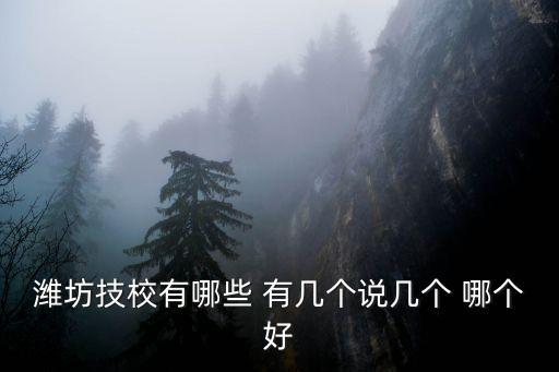 潍坊技校有哪些 有几个说几个 哪个好
