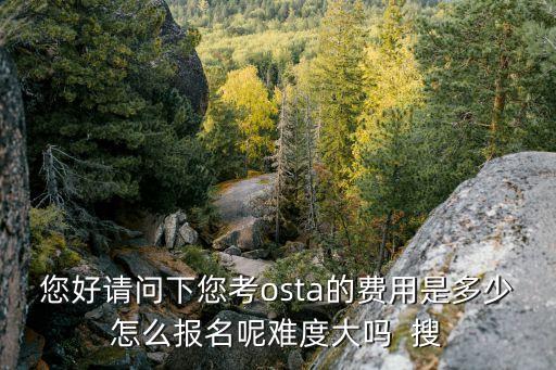 您好请问下您考osta的费用是多少怎么报名呢难度大吗  搜