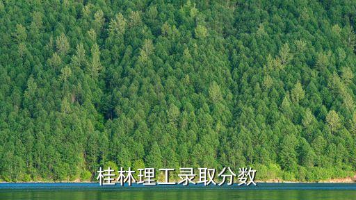 桂林理工录取分数