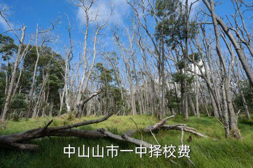 中山山市一中择校费