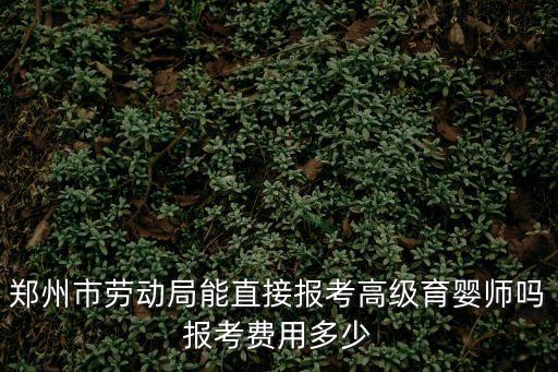 郑州市劳动局能直接报考高级育婴师吗报考费用多少