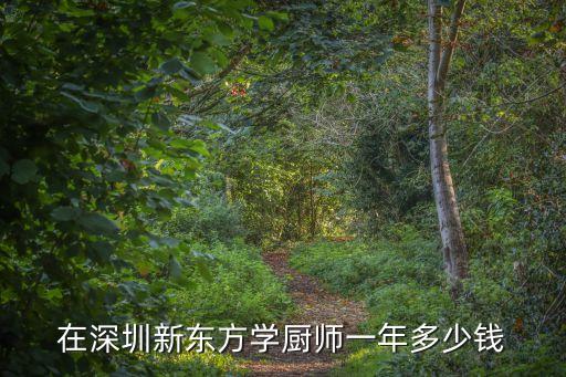 深圳厨师培训班多少钱，在深圳新东方学厨师一年多少钱