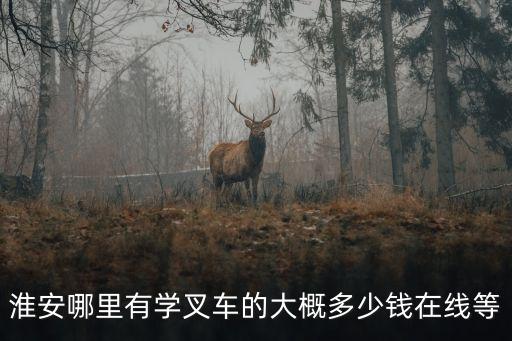 淮安叉车培训要多少钱，淮安中大叉车学费是多少