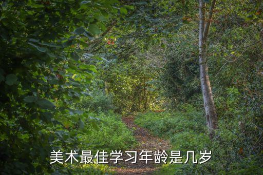 少儿美术一般针对多少岁，孩子学美术几岁学最好