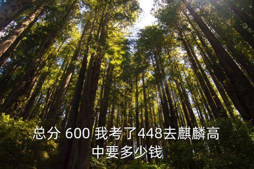 总分 600 我考了448去麒麟高中要多少钱