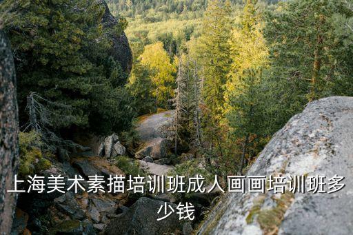 上海美术素描培训班成人画画培训班多少钱