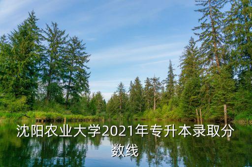 沈阳农业大学2021年专升本录取分数线