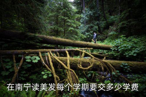 在南宁读美发每个学期要交多少学费
