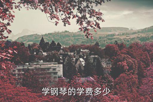 学钢琴的学费多少
