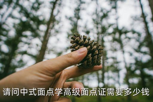 请问中式面点学高级面点证需要多少钱