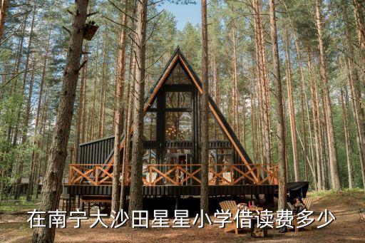 在南宁大沙田星星小学借读费多少