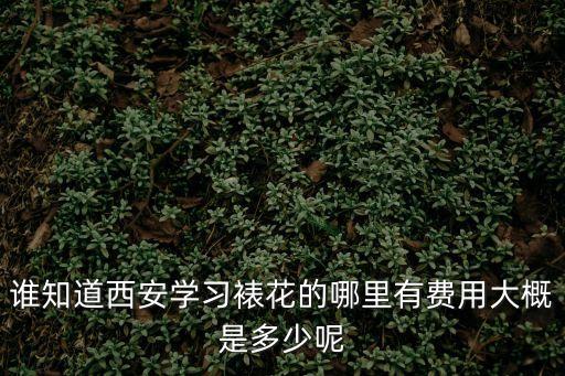 谁知道西安学习裱花的哪里有费用大概是多少呢